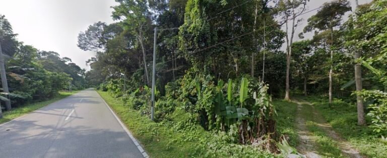 Screenshot 2024 06 09 at 10.47.40 AM 768x315